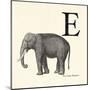 Animal Alphabet - E-The Vintage Collection-Mounted Giclee Print