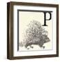 Animal Alphabet - P-The Vintage Collection-Framed Giclee Print