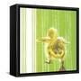 Animal Baby IV-null-Framed Stretched Canvas