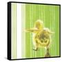 Animal Baby IV-null-Framed Stretched Canvas