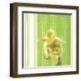 Animal Baby IV-null-Framed Art Print