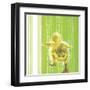 Animal Baby IV-null-Framed Art Print