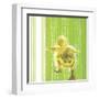 Animal Baby IV-null-Framed Art Print