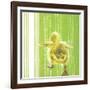 Animal Baby IV-null-Framed Art Print