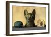 Animal Carvings from the New Kingdom and Late Period, Egypt, 1936-null-Framed Giclee Print