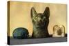 Animal Carvings from the New Kingdom and Late Period, Egypt, 1936-null-Stretched Canvas
