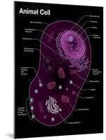 Animal Cell Diagram-Spencer Sutton-Mounted Giclee Print