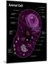 Animal Cell Diagram-Spencer Sutton-Mounted Giclee Print
