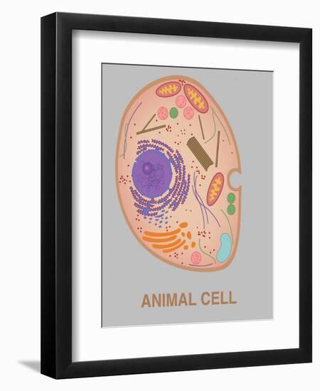 Animal Cell, Illustration-Gwen Shockey-Framed Giclee Print