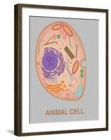 Animal Cell, Illustration-Gwen Shockey-Framed Giclee Print