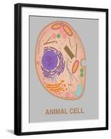 Animal Cell, Illustration-Gwen Shockey-Framed Giclee Print