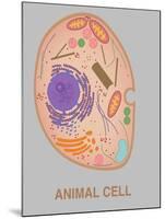 Animal Cell, Illustration-Gwen Shockey-Mounted Giclee Print
