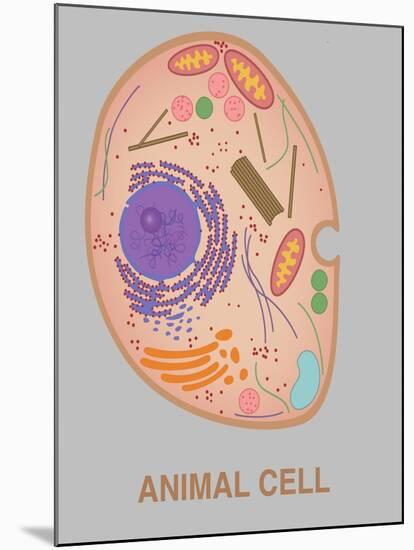 Animal Cell, Illustration-Gwen Shockey-Mounted Giclee Print