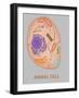 Animal Cell, Illustration-Gwen Shockey-Framed Giclee Print