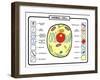 Animal Cell-udaix-Framed Art Print