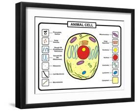 Animal Cell-udaix-Framed Art Print