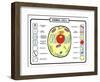 Animal Cell-udaix-Framed Art Print