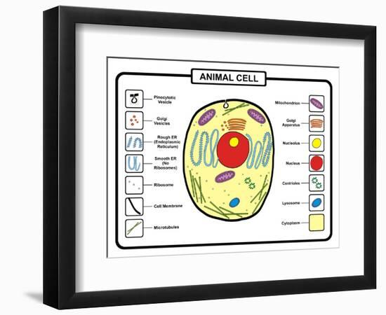 Animal Cell-udaix-Framed Art Print