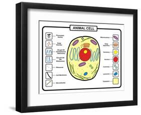 Animal Cell-udaix-Framed Art Print