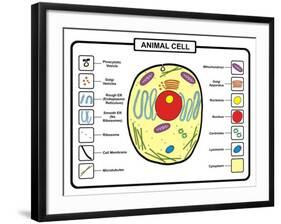 Animal Cell-udaix-Framed Art Print