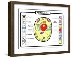 Animal Cell-udaix-Framed Art Print