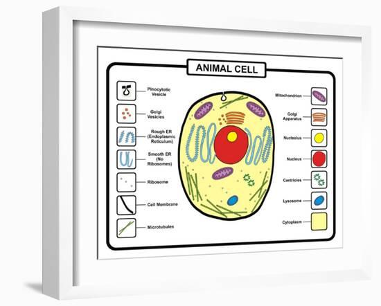 Animal Cell-udaix-Framed Art Print