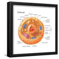 Animal Cells, Eukaryotes, Biology-Encyclopaedia Britannica-Framed Poster