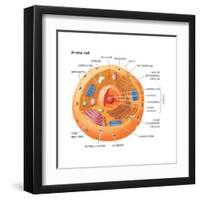 Animal Cells, Eukaryotes, Biology-Encyclopaedia Britannica-Framed Art Print