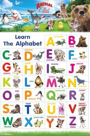 Animal Club - ABC' Poster Animal Club - ABC' Poster