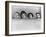 Animal Crackers, Zeppo Marx, Harpo Marx, Chico Marx, Groucho Marx, 1930-null-Framed Photo