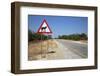 Animal Crossing-benshots-Framed Photographic Print