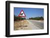 Animal Crossing-benshots-Framed Photographic Print