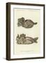 Animal Effigies from Mounds 2 and 6, Santa Rita-null-Framed Giclee Print