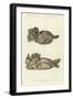 Animal Effigies from Mounds 2 and 6, Santa Rita-null-Framed Giclee Print