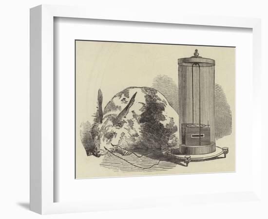 Animal Electricity-null-Framed Giclee Print