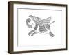 Animal Elephant 1-Neeti Goswami-Framed Art Print