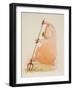 Animal Farm, half-title, 1995 (drawing)-Ralph Steadman-Framed Giclee Print