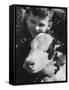 Animal Farm in Thousand Oaks, California-Francis Miller-Framed Stretched Canvas