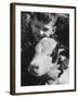 Animal Farm in Thousand Oaks, California-Francis Miller-Framed Photographic Print