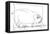 Animal Farm, p13a Chapt 2, 1995 (drawing)-Ralph Steadman-Framed Stretched Canvas