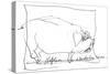 Animal Farm, p13a Chapt 2, 1995 (drawing)-Ralph Steadman-Stretched Canvas
