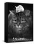 Animal Friendships: Cats and Mice-null-Framed Stretched Canvas