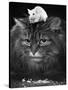 Animal Friendships: Cats and Mice-null-Stretched Canvas