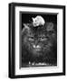 Animal Friendships: Cats and Mice-null-Framed Photographic Print