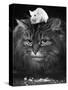 Animal Friendships: Cats and Mice-null-Stretched Canvas