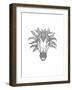 Animal Head Horse-Neeti Goswami-Framed Art Print