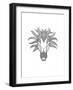 Animal Head Horse-Neeti Goswami-Framed Art Print