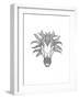 Animal Head Horse-Neeti Goswami-Framed Art Print