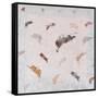 Animal Heaven, 1991-Mary Stuart-Framed Stretched Canvas