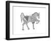 Animal Horse2-Neeti Goswami-Framed Art Print